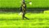 No threat to paddy crop despite deficient rain forecast: Govt