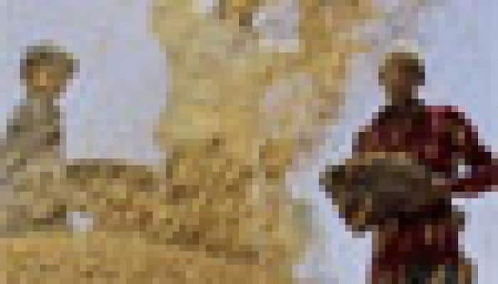 FoodMin has proposed 10% import duty on wheat: Paswan