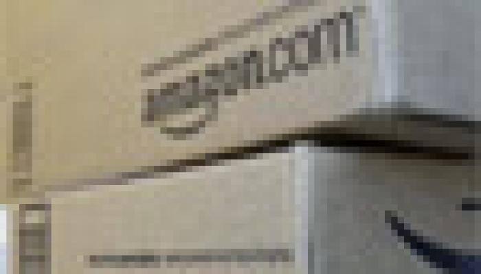 Amazon's Prime Day draws big virtual crowd, frustrates some shoppers