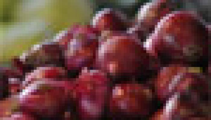 Middle class woes: Are onion prices going to hit your household budget?
