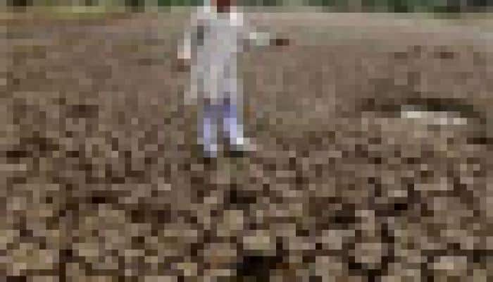 Drought vulnerability a challenge to India ratings: Moody&#039;s