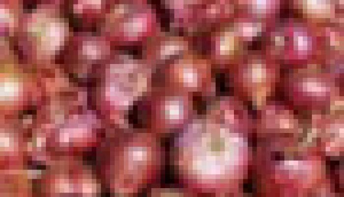Will onion prices fall as govt asks MMTC to import 10,000 tonnes of onion?