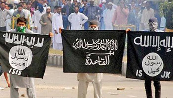 J&amp;K beef ban: Clashes in Srinagar, separatists detained, ISIS flags raised
