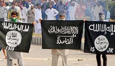 J&K beef ban: Clashes in Srinagar, separatists detained, ISIS flags raised