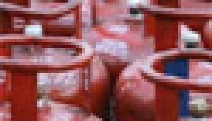 LPG cylinder online booking: You will need these documents