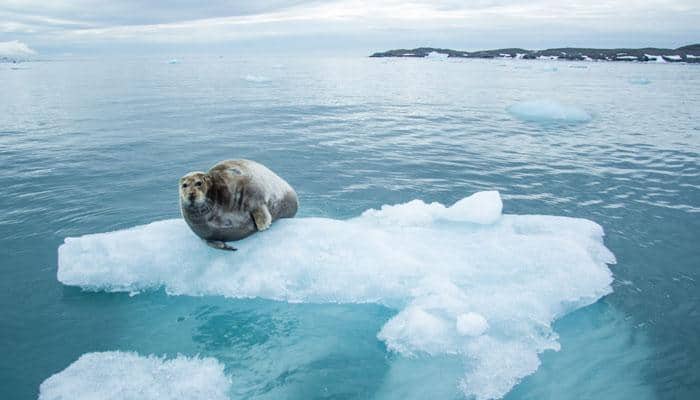 Losing grip much? Arctic sea just hit 4th lowest level on record