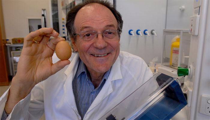 Australian scientist Colin Raston wins Ig Nobel prize for &#039;unboiling&#039; an egg
