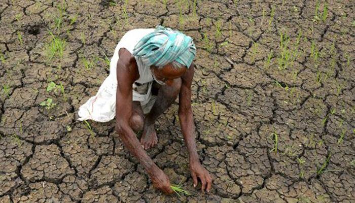 Odisha to provide 50 more work days for drought-hit under MGNREGA