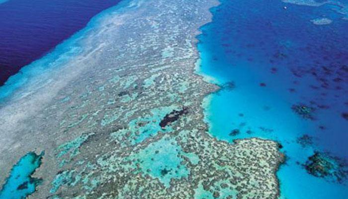 Australia's Great Barrier Reef needs more care