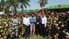 Singh Is Bliing promotions