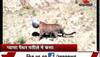 Panther’s head gets stuck in utensil