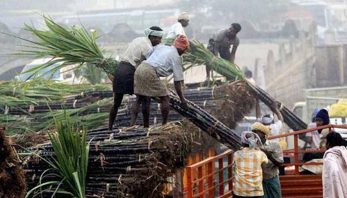 Banks given 15 days to disburse soft loan to sugar mills