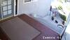 That's guts! Watch how a small dog scares off bears