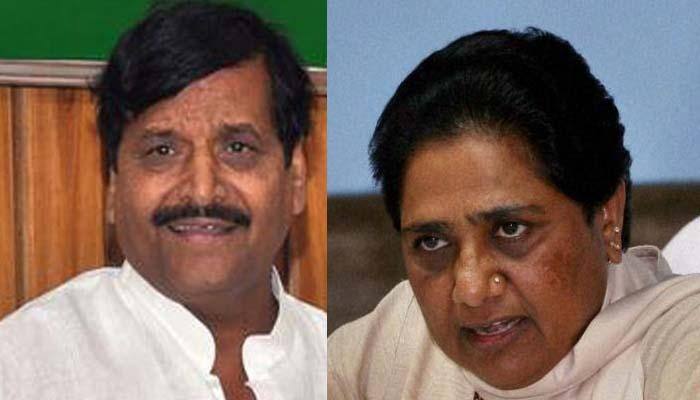 SP leader calls Mayawati 'nithalli', says she has no work