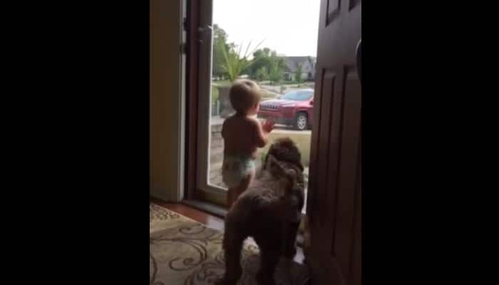 Watch: Adorable video of how baby and dog react when daddy comes back home