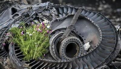 MH17 inquiry to unveil final report into doomed flight
