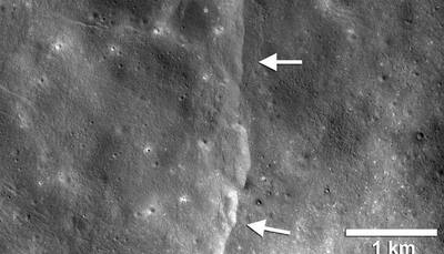Earth's gravitational pull 'massaging' our moon