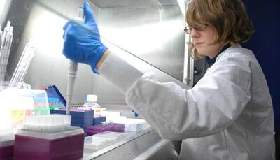 US scientists create artificial 'skin' that could feel sensation