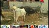 beef rumours