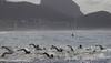 Rio 2016 organizers claim water in competition area to be clean