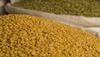 Pulses prices touch Rs 200 per kg mark