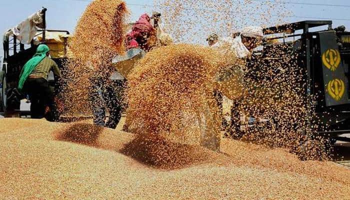 Govt hikes import duty on wheat to 25% to check imports