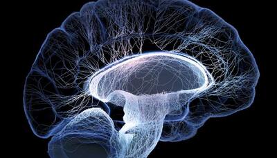 Mathematical method shows structure in brain neural activity