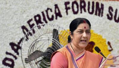 Indian credit lines fostering African economic development: Sushma Swaraj   