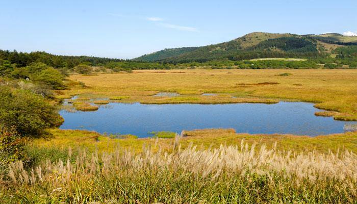 Abu Dhabi announces reopening of wetland reserve