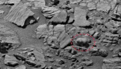 Is that really a bear on Mars? UFO hunter calls for UN probe