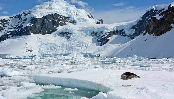 Earth heading for decade-long 'mini ice age' in 15 years?