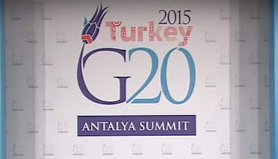 Watch: Cats invade G20 Summit in Turkey during LIVE transmission