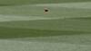 Ranji Trophy 2015-16: Rajasthan fightback on Day 2 against Vidarbha