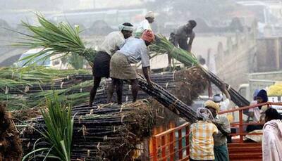 Govt approves over Rs 1,100 crore subsidy for cane farmers
