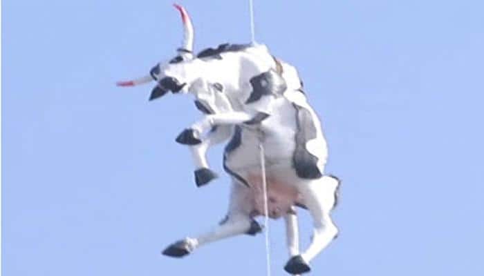When a &#039;hanging cow&#039; led to arrest of three persons at Jaipur Art Summit