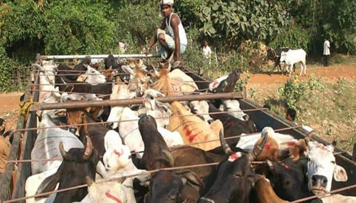 Mob set ablaze truck near Jammu on suspicion of cattle smuggling 