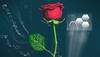 Power plant: World's first electronic 'cyborg' rose is finally here!