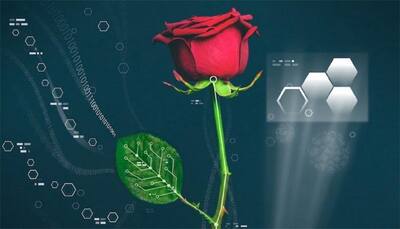 Power plant: World's first electronic 'cyborg' rose is finally here!