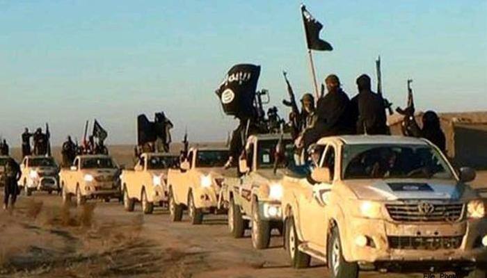 Muslim-majority countries 'hate' Islamic State, see it as threat to their community