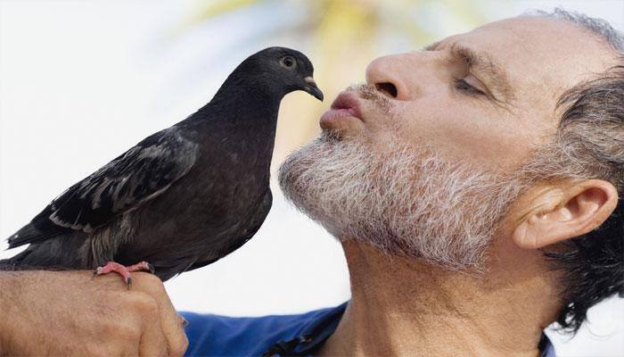 Human, birds have similar sound systems