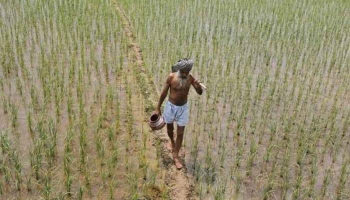 Agri sector attracts $1,764 million FDI in 2000-15