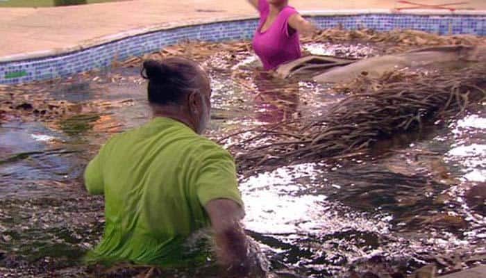 Bigg Boss, Day 54: Team A wins ‘paanch dosh’ task; inmates get into dirty bickering