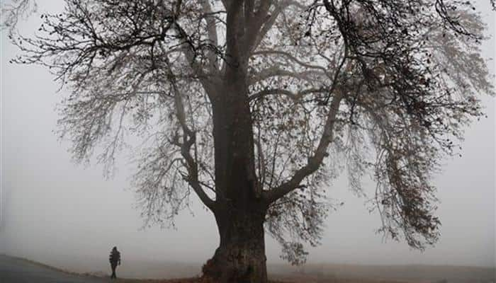 Fresh snowfall in Kashmir, rains in the Valley