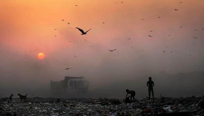 NGT verdict on diesel cars: Here's a list of best, affordable air purifiers – Read​
