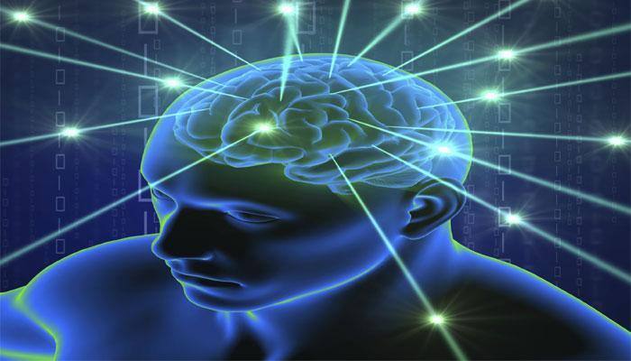 Here's how human brain can handle so much data