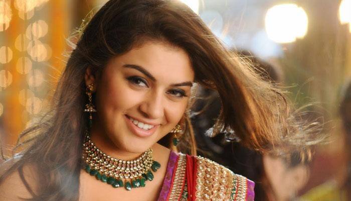Not teaming up with Dulquer Salmaan and Hansika Motwani: Hareesh Narayan