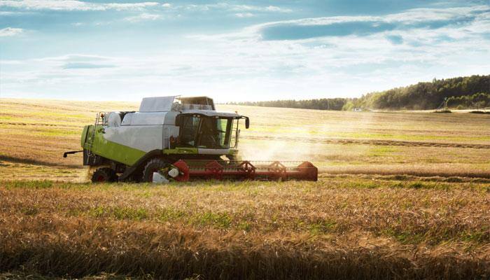 Agriculture didn't spur growth of human population