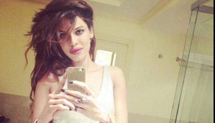 Bigg Boss 9: Gizele Thakral doesn&#039;t like &#039;late night PDA&#039;—watch video!