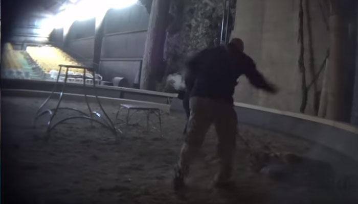Horrifying VIDEO: 'Life of Pi' animal trainer caught on camera brutally whipping tiger