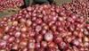 Price crash: Govt scraps minimum export price on onions to wipe tears of farmers